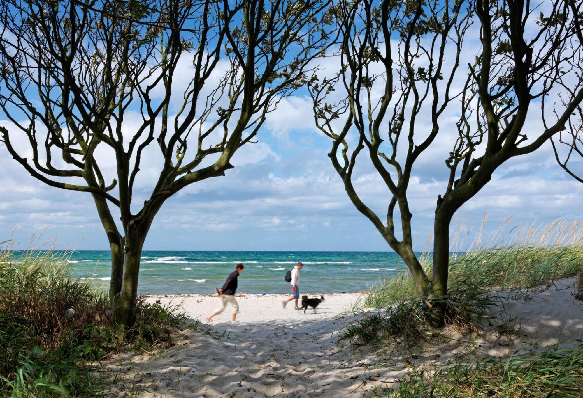 Insel-Idyll Sonnenschein Apartman Insel Poel Kültér fotó