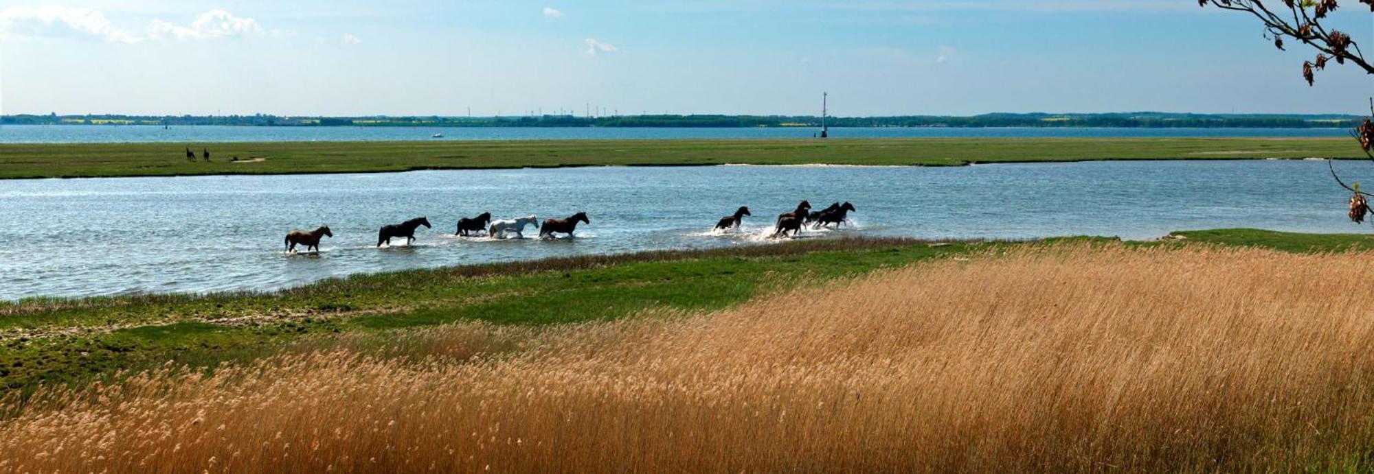 Insel-Idyll Sonnenschein Apartman Insel Poel Kültér fotó