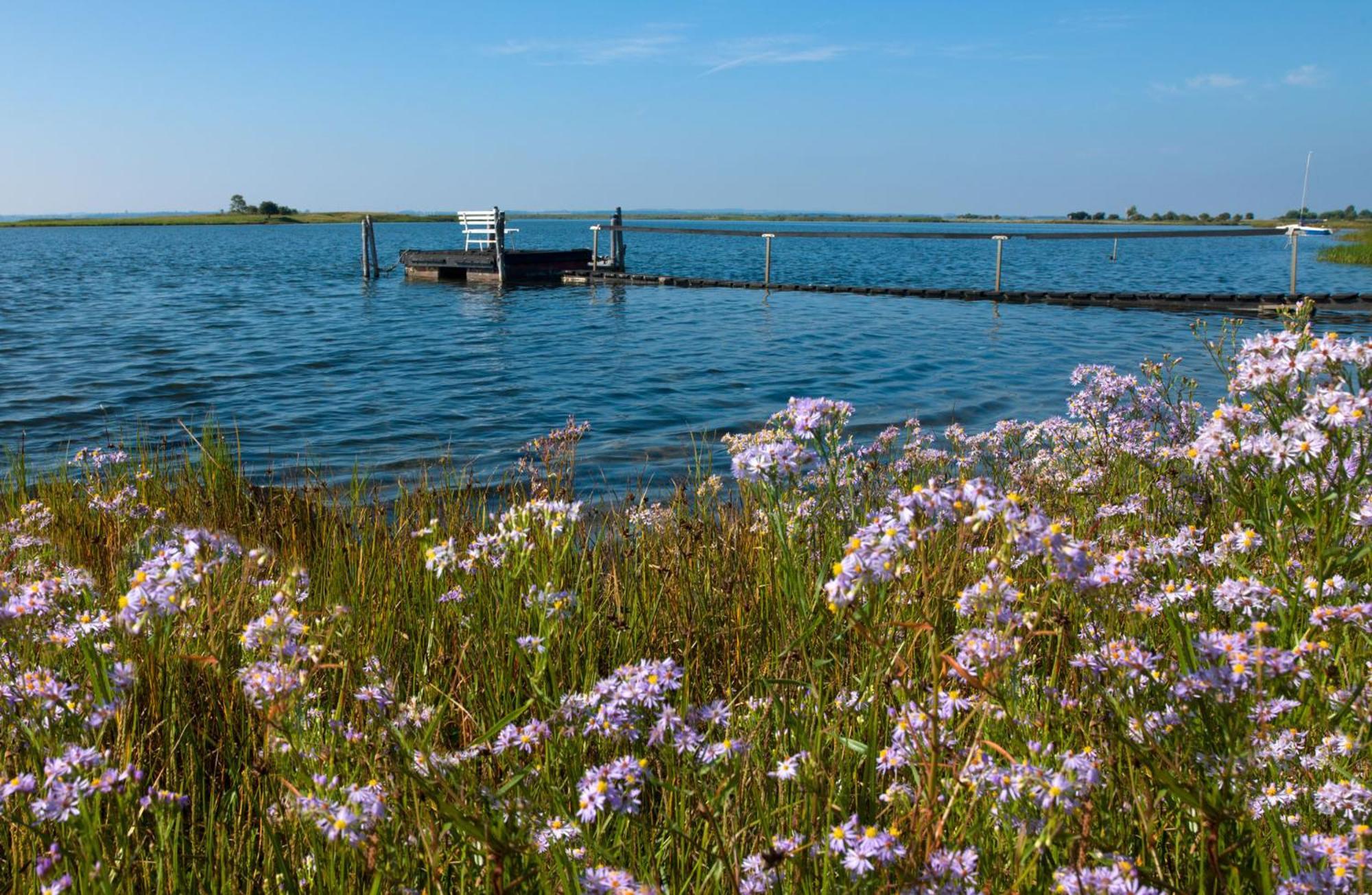 Insel-Idyll Sonnenschein Apartman Insel Poel Kültér fotó